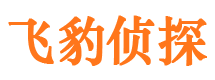 通山市私人侦探